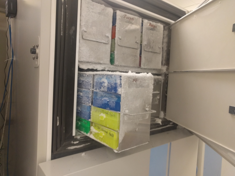 A rack